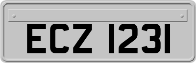 ECZ1231