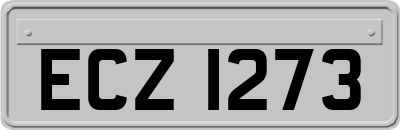 ECZ1273