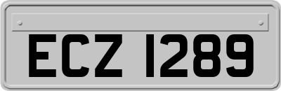 ECZ1289