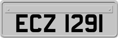 ECZ1291