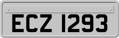 ECZ1293