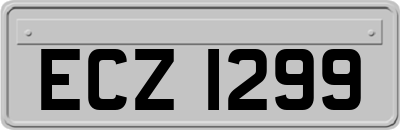 ECZ1299
