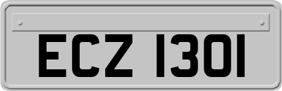 ECZ1301