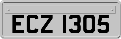 ECZ1305
