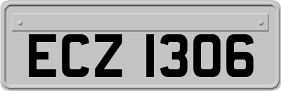 ECZ1306