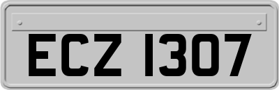 ECZ1307