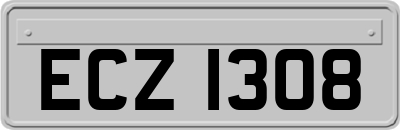 ECZ1308