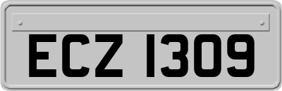 ECZ1309