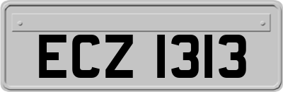 ECZ1313