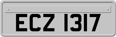 ECZ1317