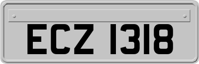 ECZ1318