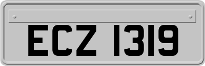 ECZ1319