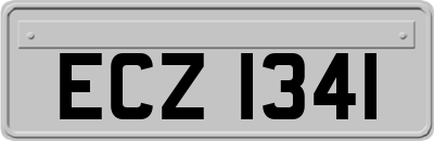 ECZ1341