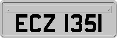 ECZ1351