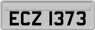 ECZ1373