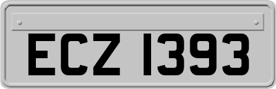 ECZ1393