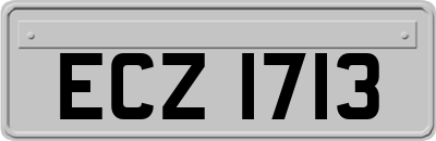 ECZ1713