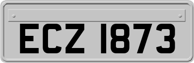 ECZ1873