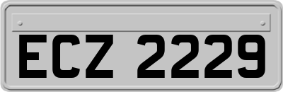 ECZ2229