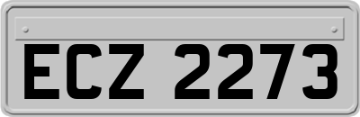 ECZ2273