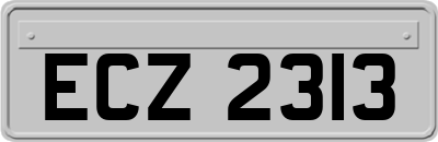 ECZ2313