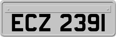 ECZ2391