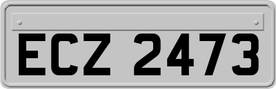ECZ2473