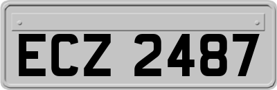 ECZ2487