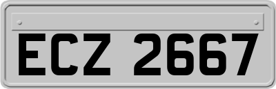 ECZ2667