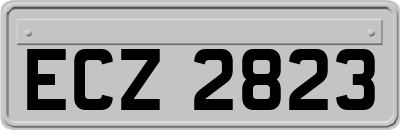 ECZ2823