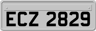 ECZ2829