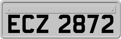 ECZ2872