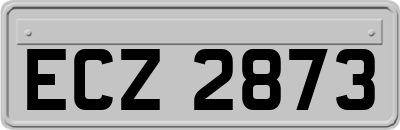 ECZ2873