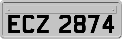 ECZ2874