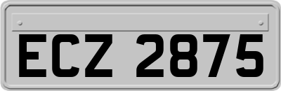 ECZ2875
