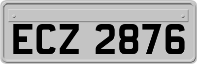 ECZ2876