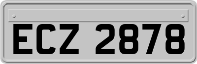 ECZ2878