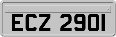 ECZ2901