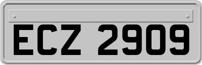 ECZ2909