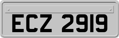 ECZ2919