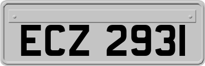 ECZ2931