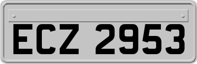 ECZ2953