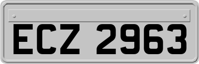 ECZ2963