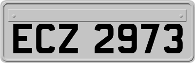 ECZ2973