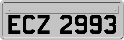 ECZ2993