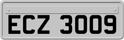 ECZ3009