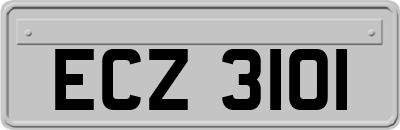 ECZ3101