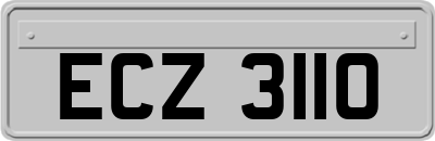 ECZ3110