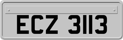 ECZ3113