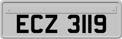 ECZ3119